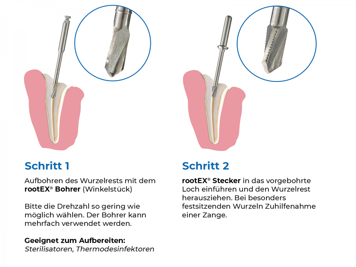 Veterinärmedizin Steps